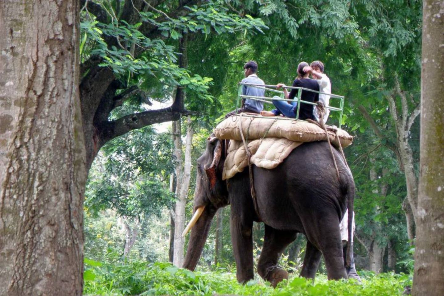 Munnar