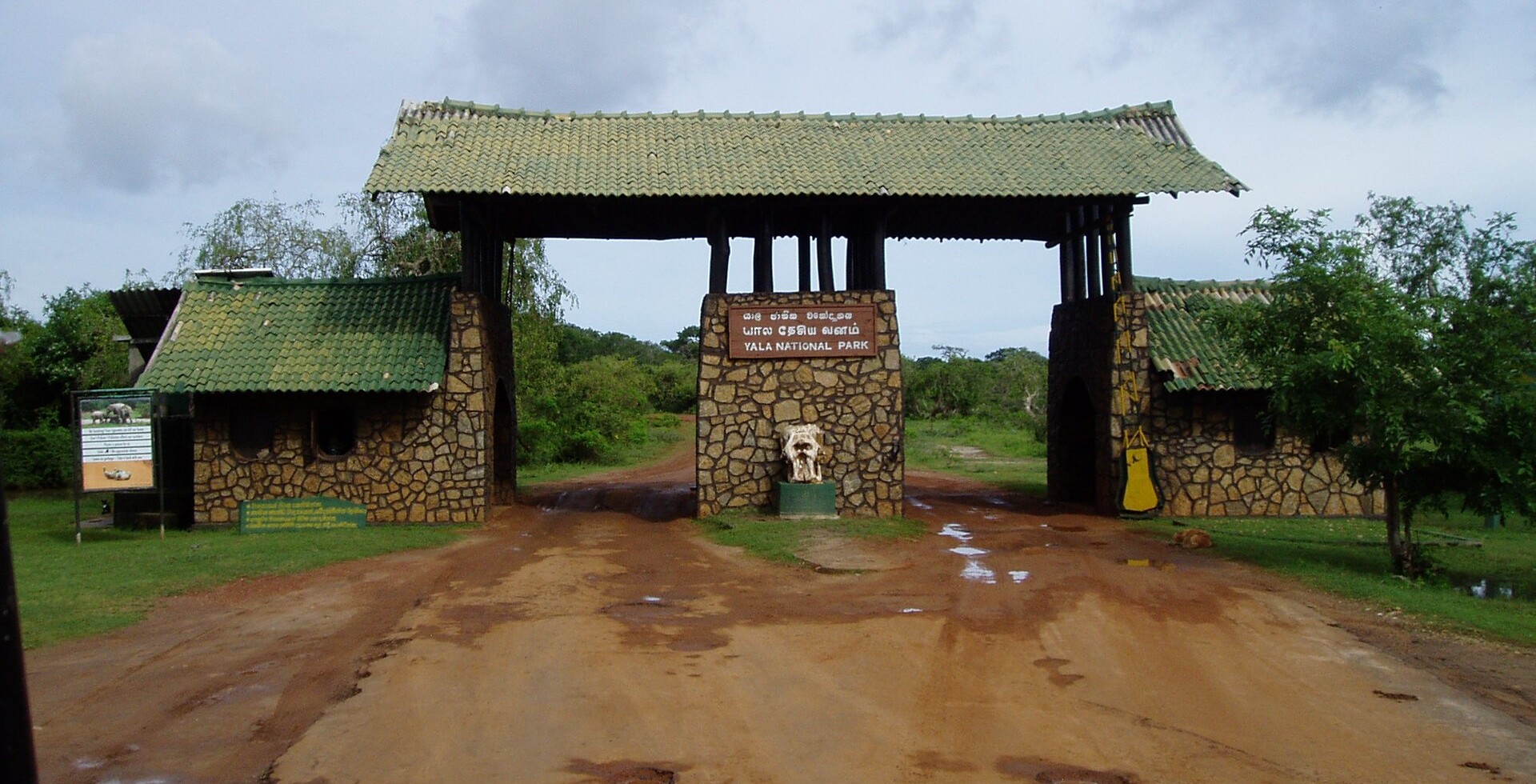 Yala National Park