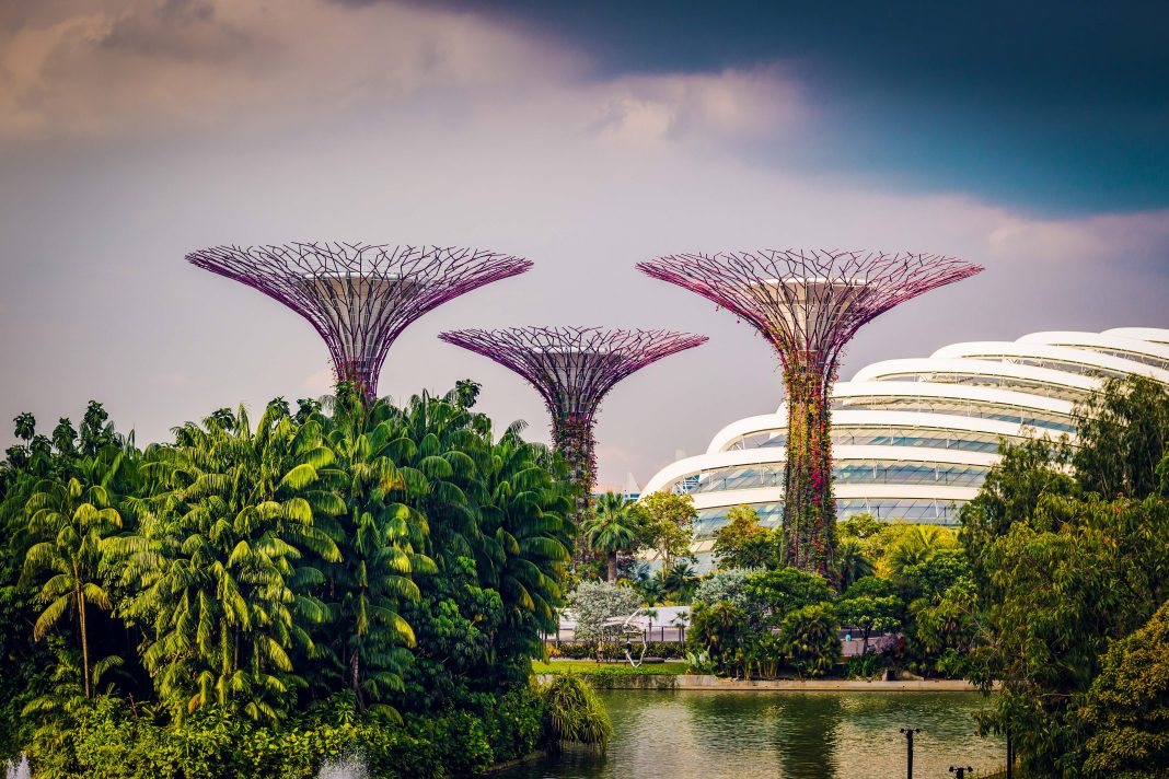 Gardens by the Bay